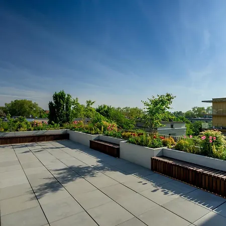 Rentplanet - Czysta *